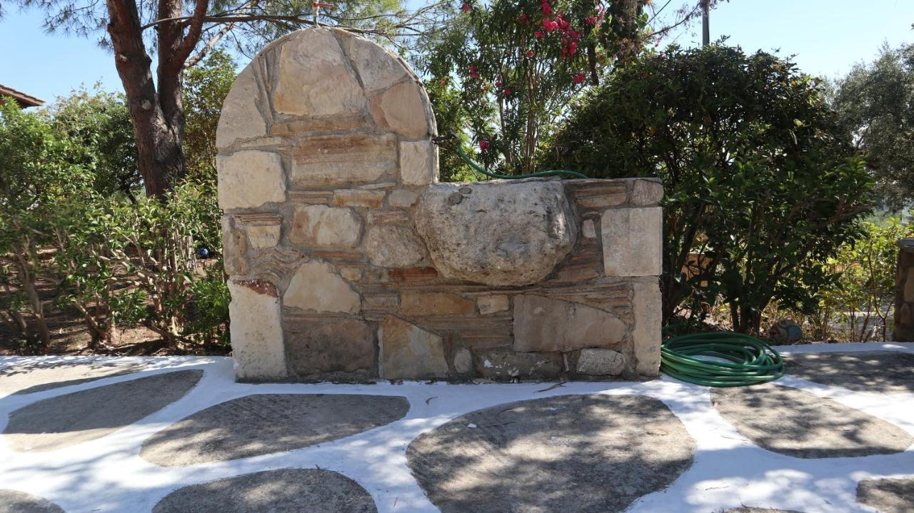 אמודי Patronis Studios מראה חיצוני תמונה